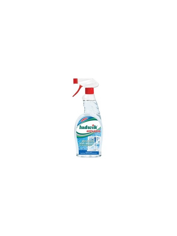 Ludwik glass and glaze cleaner anti steam 750ml A6