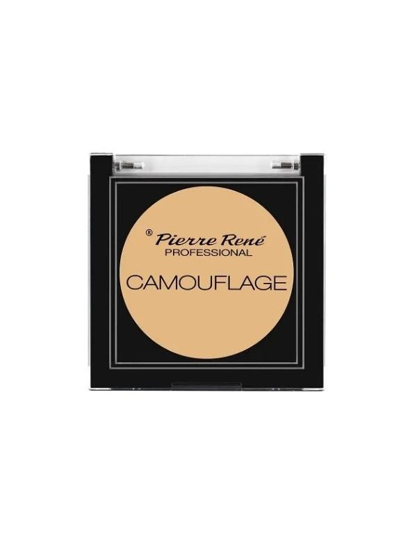 Консилер Pierre Rene Professional Camouflage Facial /04/ 5 г