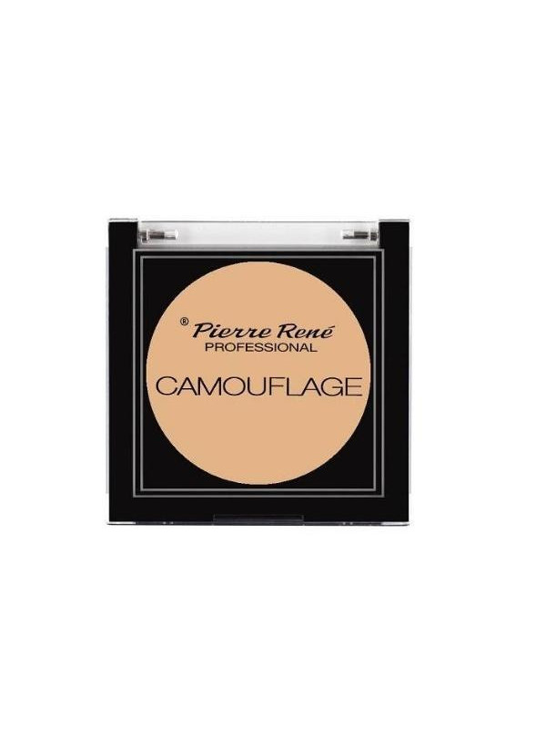 Консилер Pierre Rene Professional Camouflage Facial /00/ 5 г