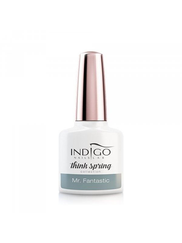 Indigo Gel Polish Mr. Fantastic 7 ml