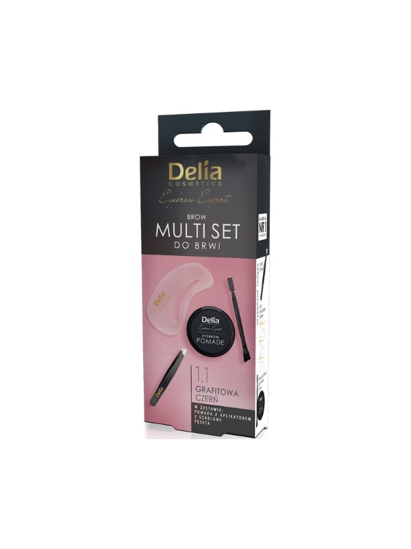 Delia Eyebrow Expert Multi Set für Augenbrauen. Set: Pinzette + 3 Schablonen + Pomade mit Applikator 1.1 Graphite Black