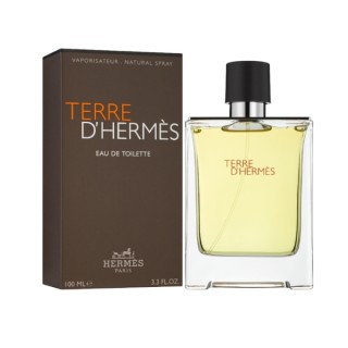 Hermes Terre D'Hermes Woda toaletowa dla mężczyzn 100 ml