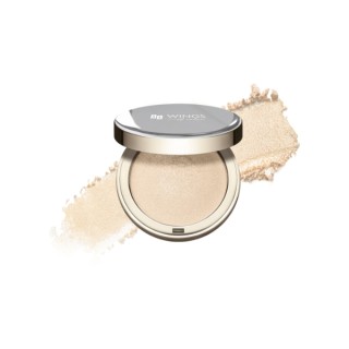 Скляний маркер AA Wings of Color /01/ Champagne Glow 8 г