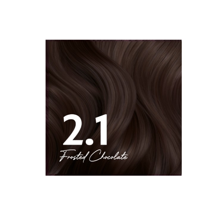 Stars from the Stars Haarfarbe /2.1/ Frosted Chocolate 1 Stück