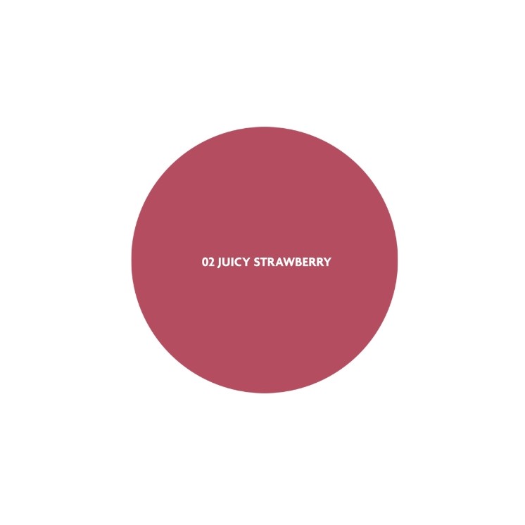 Stars from the Stars Kiss of Color Starblusher Blush Stick /02/ 15 g
