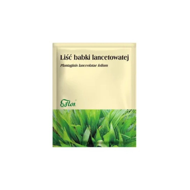 Flos Ribwort Weegbreeblad Kruiden voor Infusie 50 g